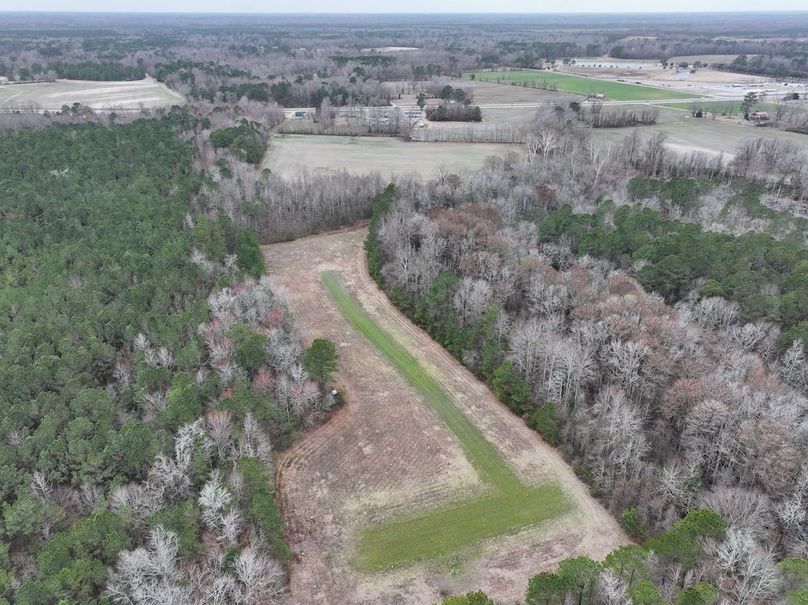 dji_fly_20260218_143826_0521_1772500086450_photo