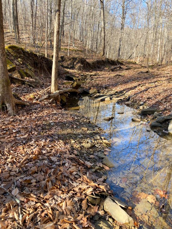 Lewis ky 304 Austin 013