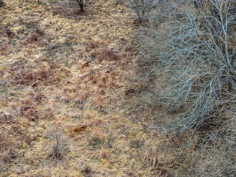 DJI_20260119104225_0716_D