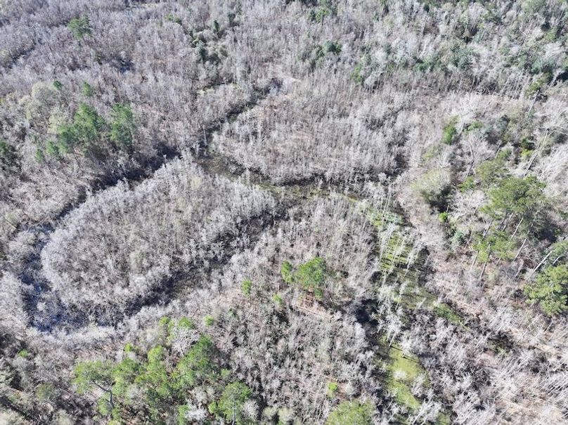 dji_fly_20260112_110136_0808_1768323793491_photo