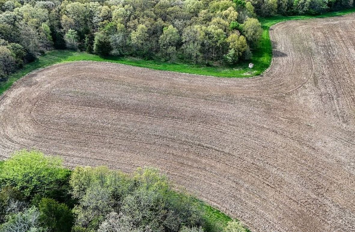 DJI_20250425085503_0012_D