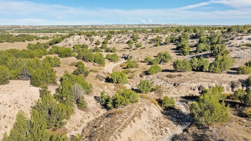 DJI_20250929103203_0118_D_1