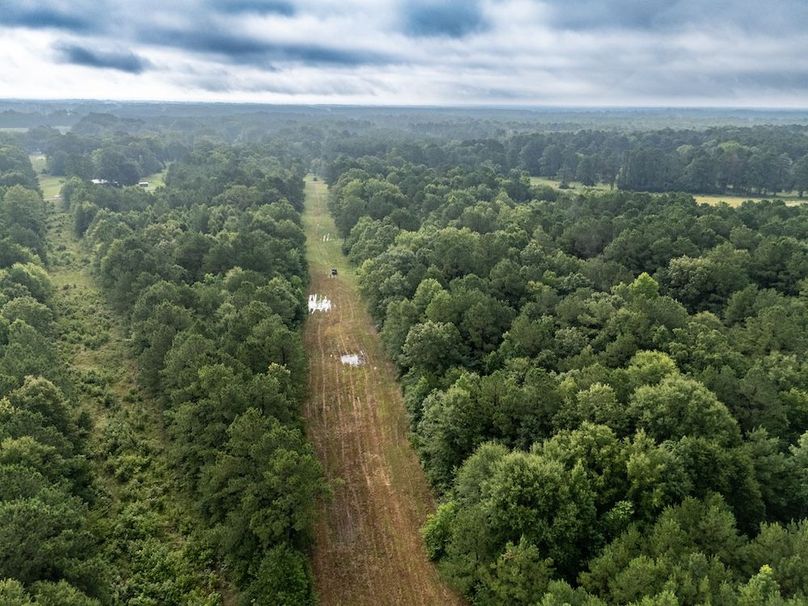 Panola Co. 40ac - Rouse-18