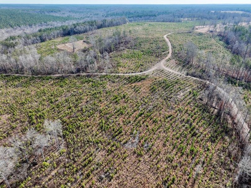 dji_fly_20260120_111646_171_1768926641124_photo