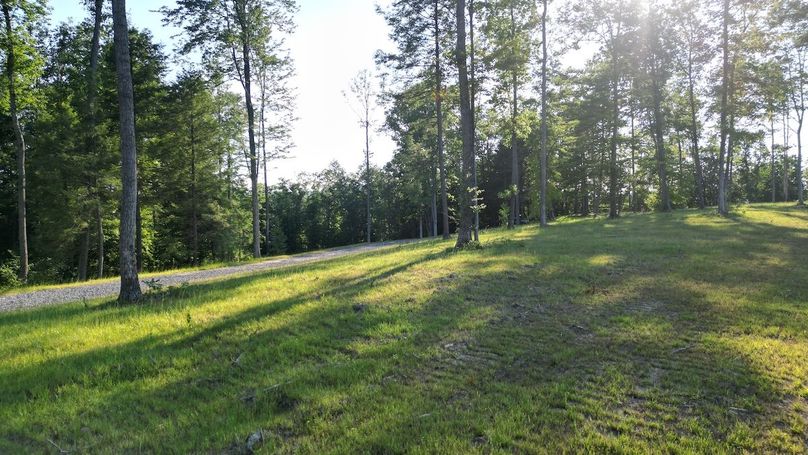 Copy of dji_fly_20240703_134642_527_1719964237993_photo