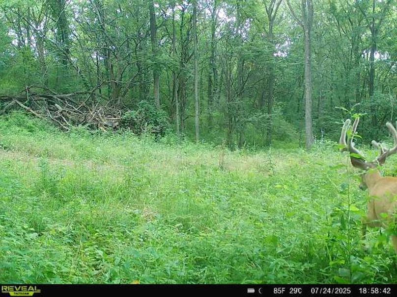 864049057727259-90-3-07242025185842-W1009861