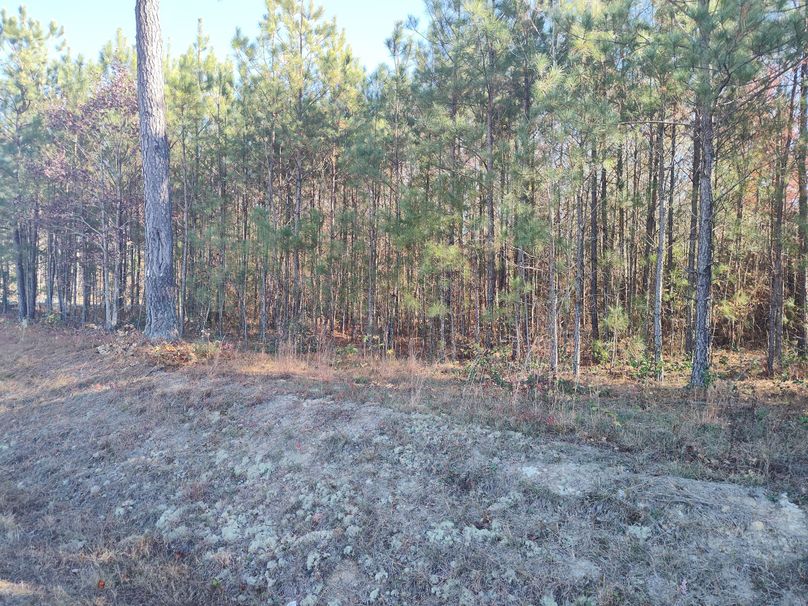 IMG_20231119_141800006