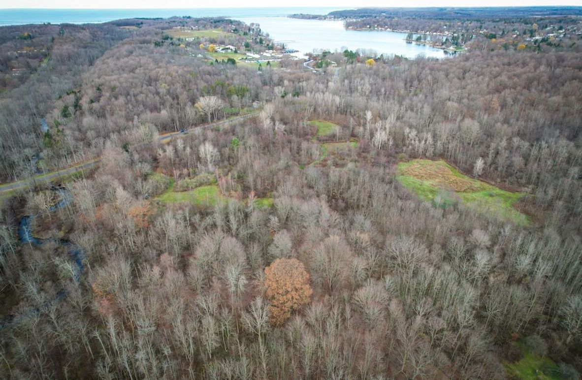 Wayne_25.53_OConnor1