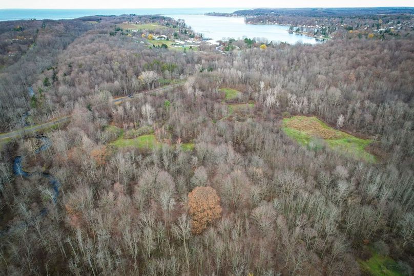 Wayne_25.53_OConnor1