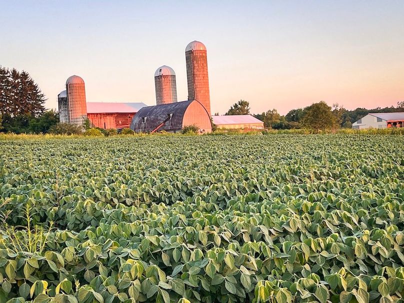 Copy of Wood Tract 2 Photo 6