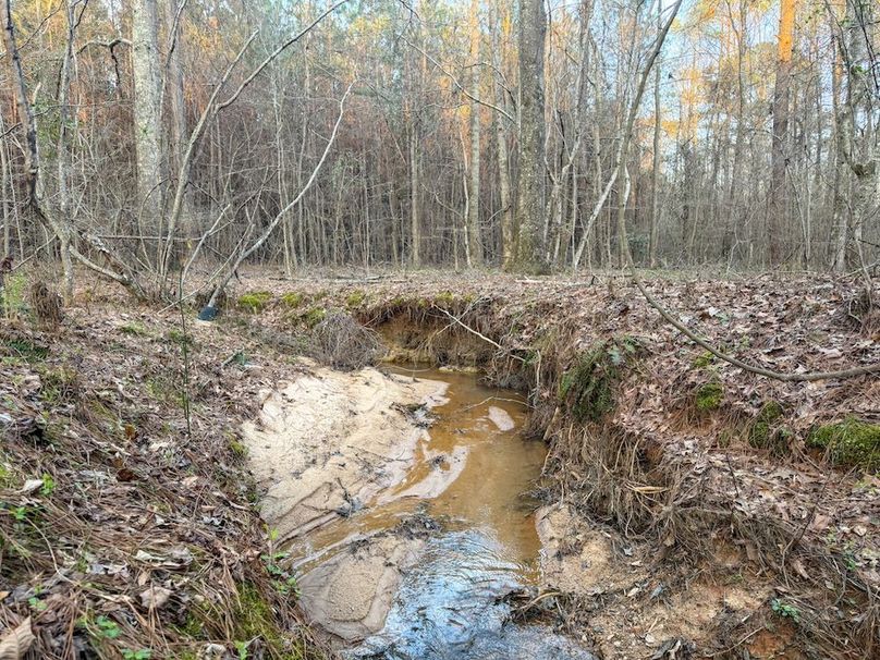 012DE 94 Acres - 1-6