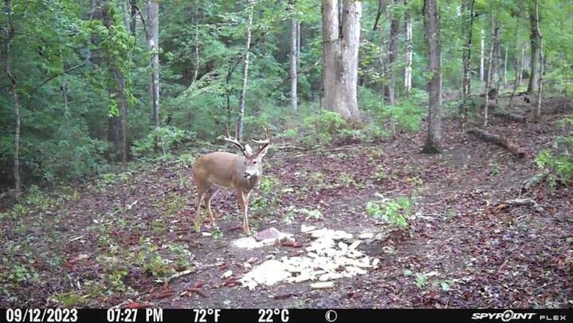 trail cam 9