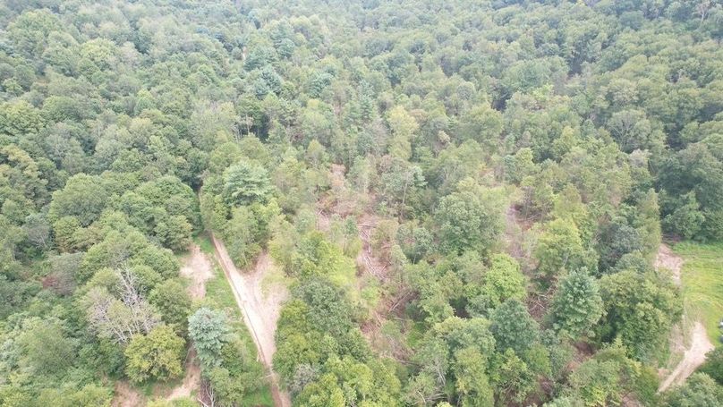 dji_fly_20250806_140658_578_1754530415553_photo