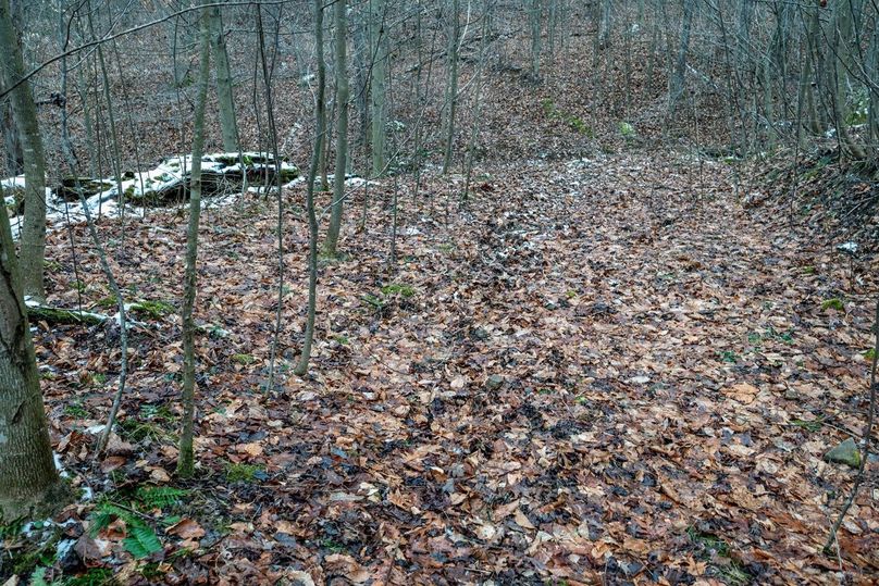 Copy of DSC_4551-Edit Large