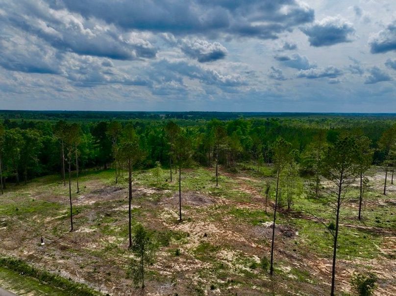 B685D16C-8A17-4CEE-A759-5224CBBBCF5B_1_105_c