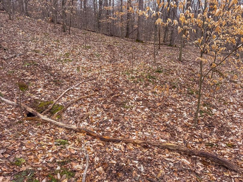 Tyler, WV 90 AC Burkhart-34