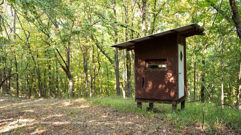 Tallahatchie 847 Messina-20