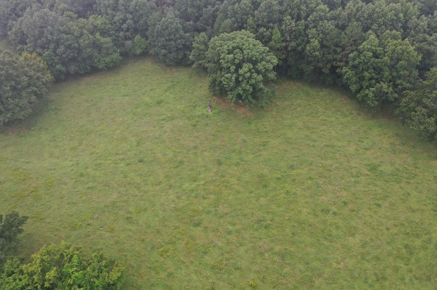 DJI_0601