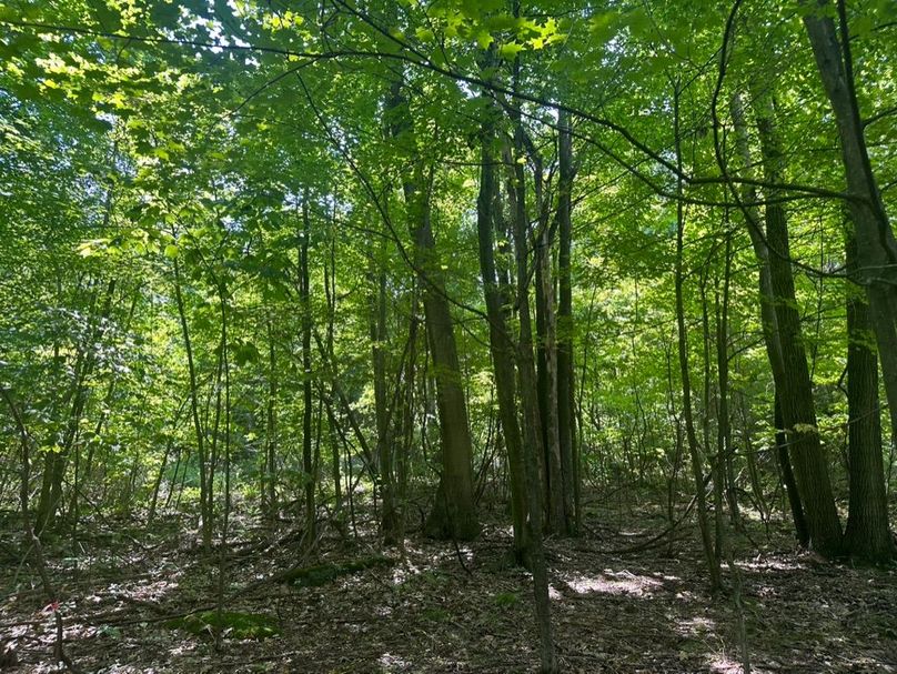 40095E08-7F36-42A3-A744-C5318785F6AD_1_105_c