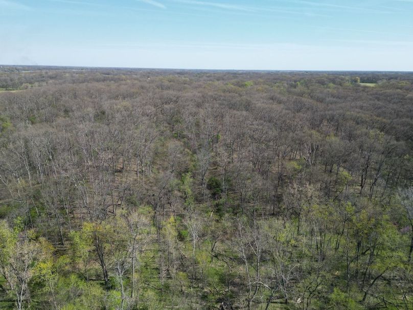 DJI_0205