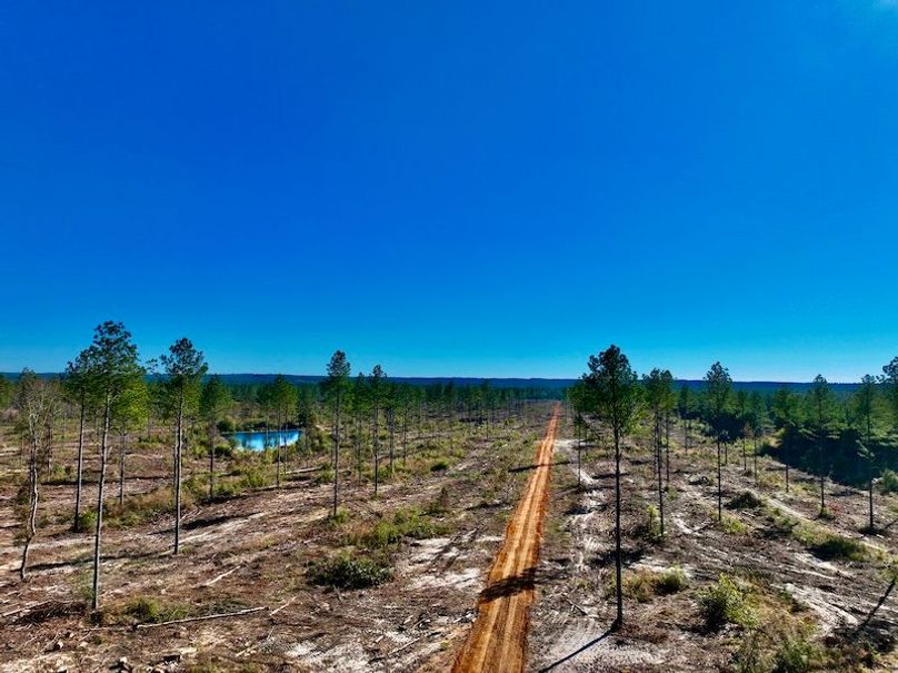 D7D74051-ADFB-49C8-B259-1A4C9C9AB7B3_1_201_a