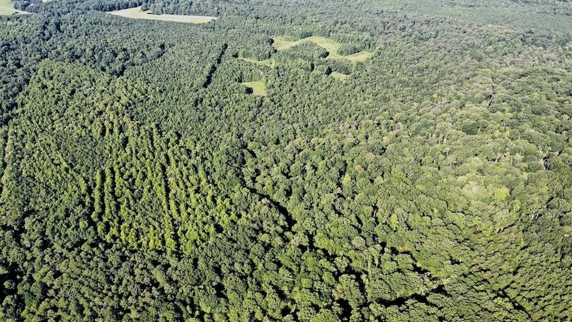 dji_fly_20250726_090914_504_1753535387142_photo_optimized