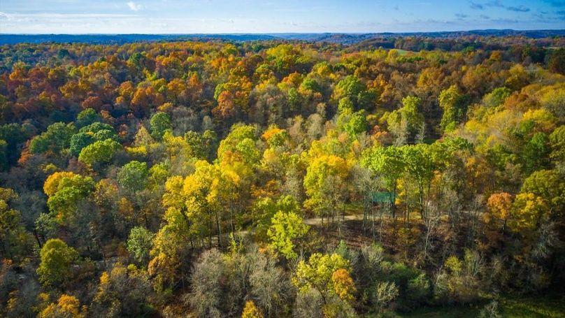 06-zj 31961 Township Rd 381005