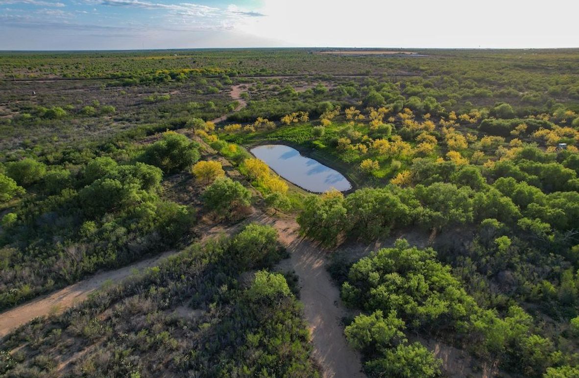 DJI_0654