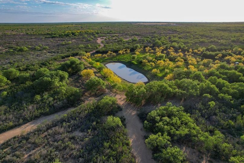 DJI_0654