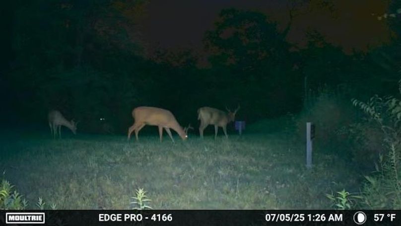 Temp_1437140-20250705052720-pir_20250705_012652_3_14_1