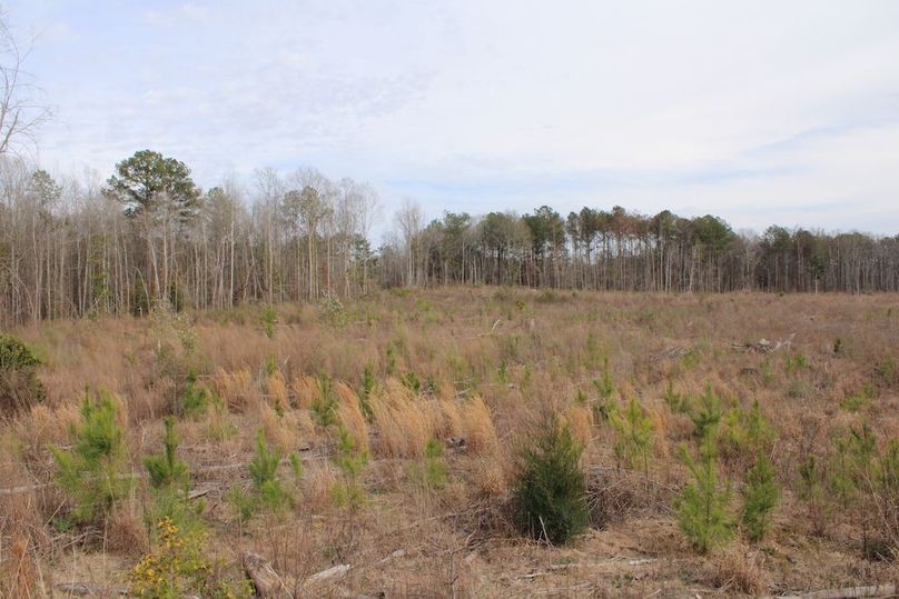 D1A3CA83-FE42-4DF6-95B4-84F795B86E61