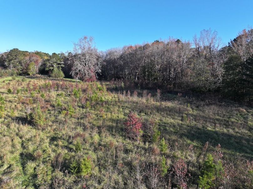 Copy of DJI_20241124091329_0232_D