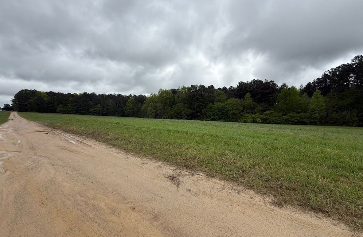 Copy of Copy of IMG_5650