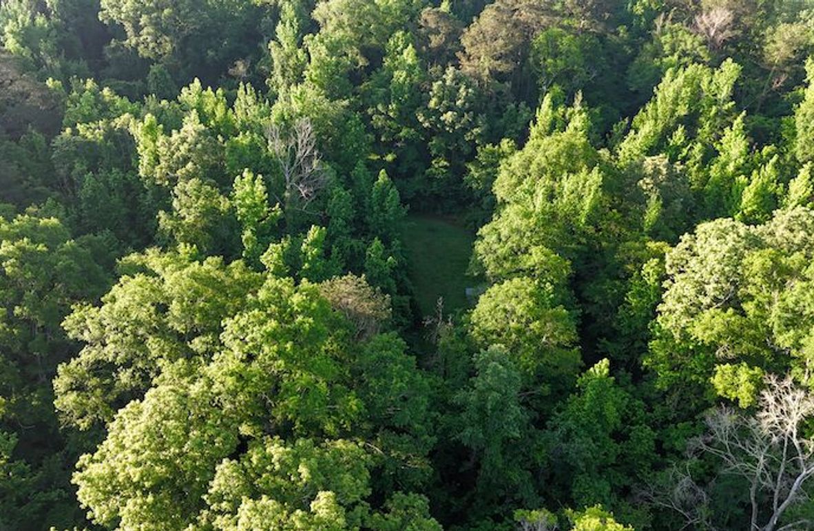 Copiah Co - 16 - Farmer-04