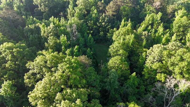 Copiah Co - 16 - Farmer-04