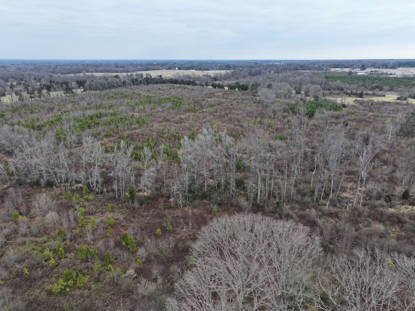 Copy of dji_fly_20251224_112602_0180_1767705808990_photo