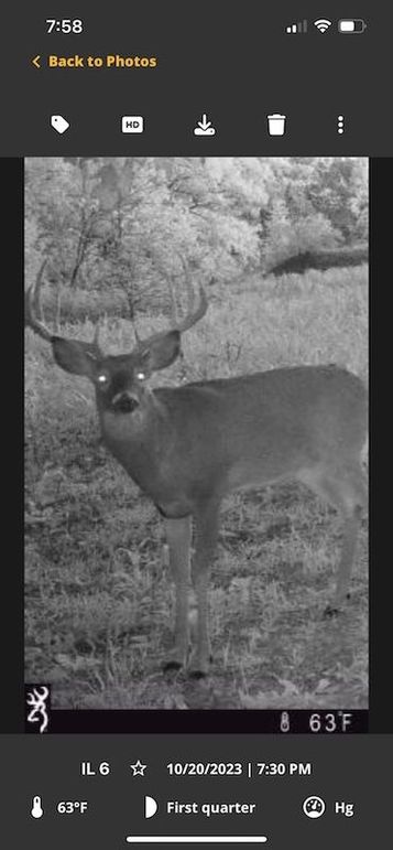 4CEF89EF-DC57-44BC-8150-BE5675EF1AAE_1_105_c