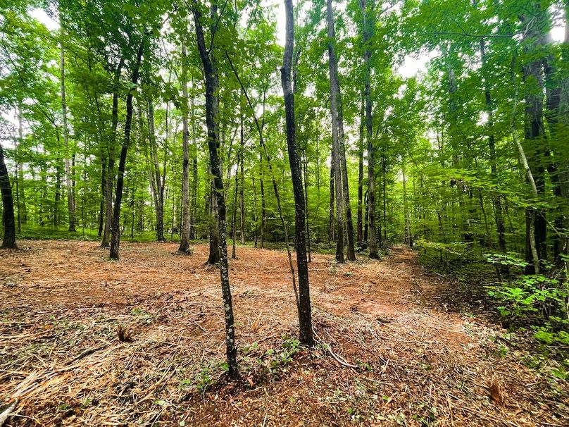 F7DE1DA9-36CF-4E0C-822E-8190764BD164