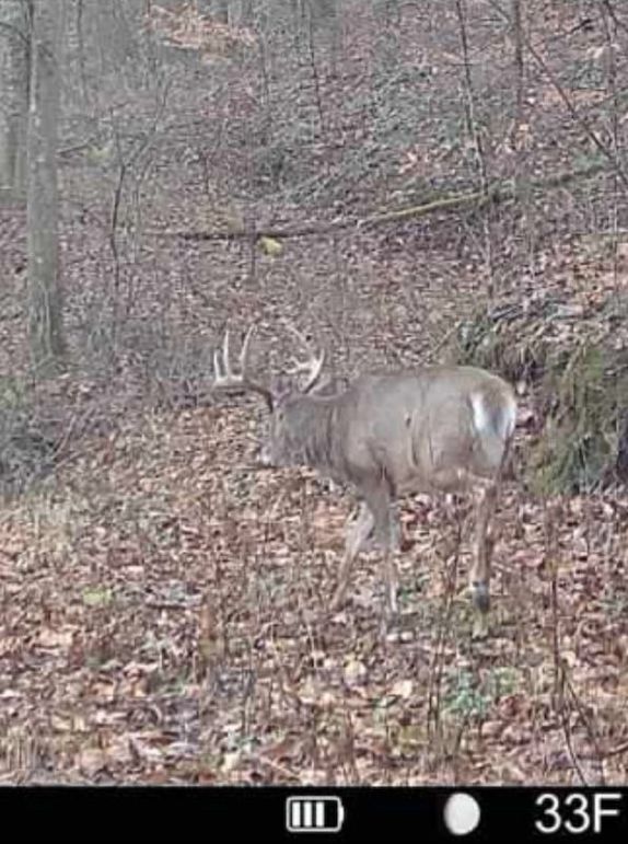 Screenshot 2026-01-06 113421