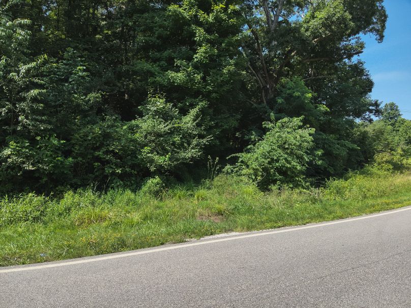 33. Trail into Property (18acres)