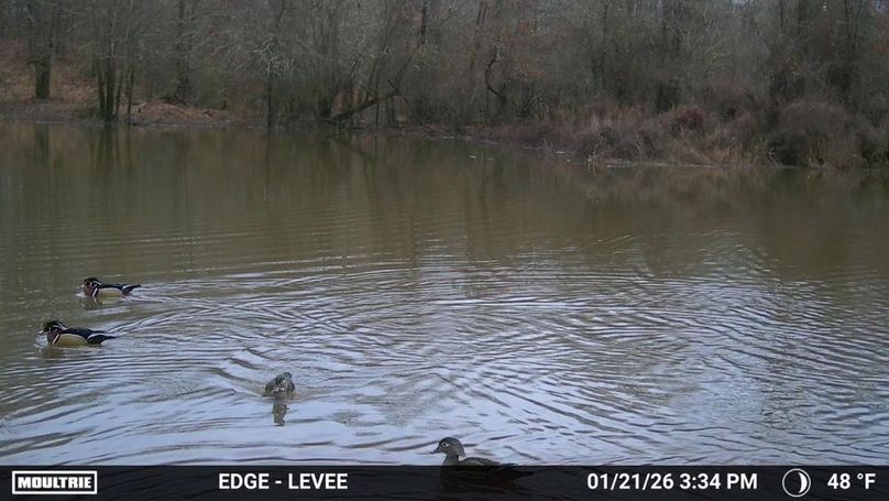 2899412-20260121213513-100MFCAM_MFDC0769