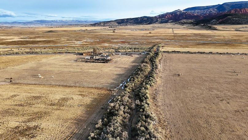 DJI_20250322081838_0241_D
