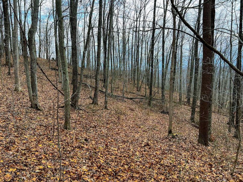 Calhoun, WV 225.69 AC Duffield-68
