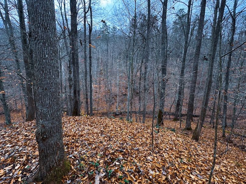 Ritchie, WV 100 AC Harper-51