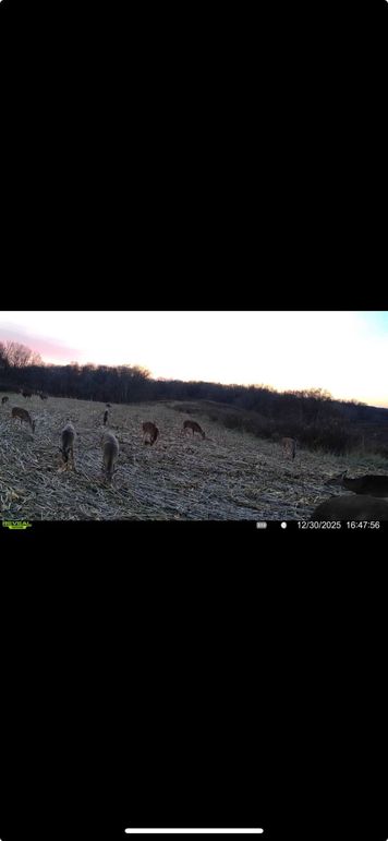 Screenshot 2026-04-13 at 7.20.17 AM