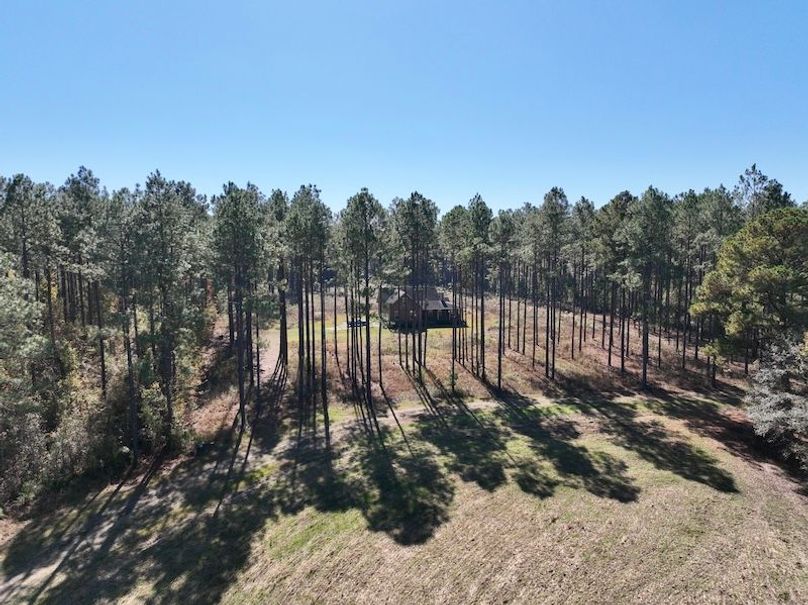 dji_fly_20251112_112034_997_1762964670165_photo