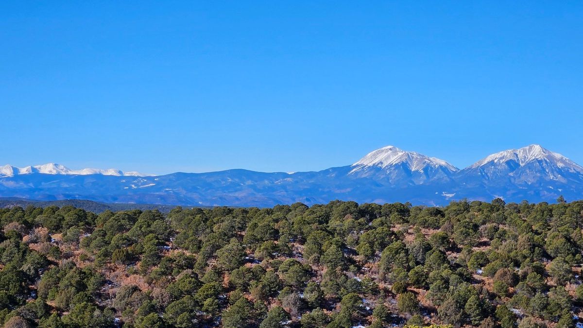Secluded Southern Colorado Acreage With No Covenants Whitetail Properties