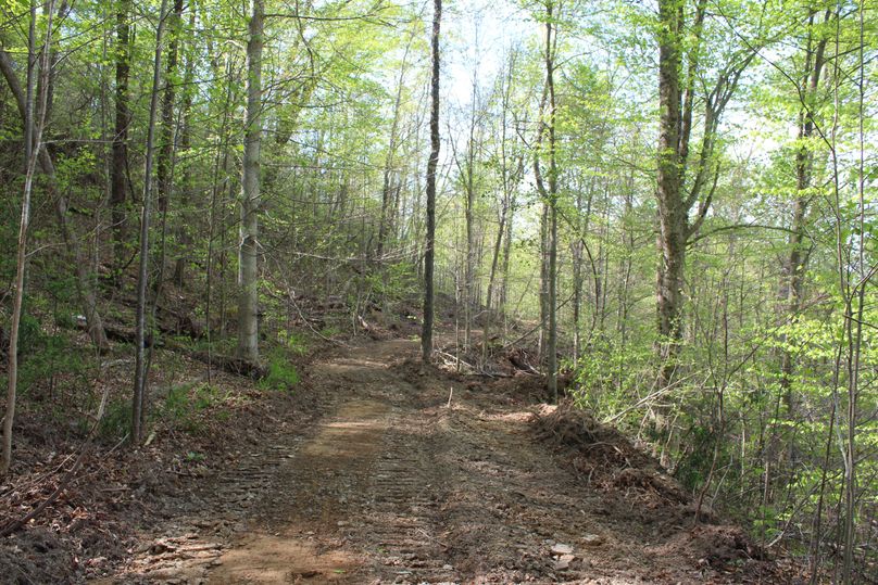 015 regraded road along the north facing slope