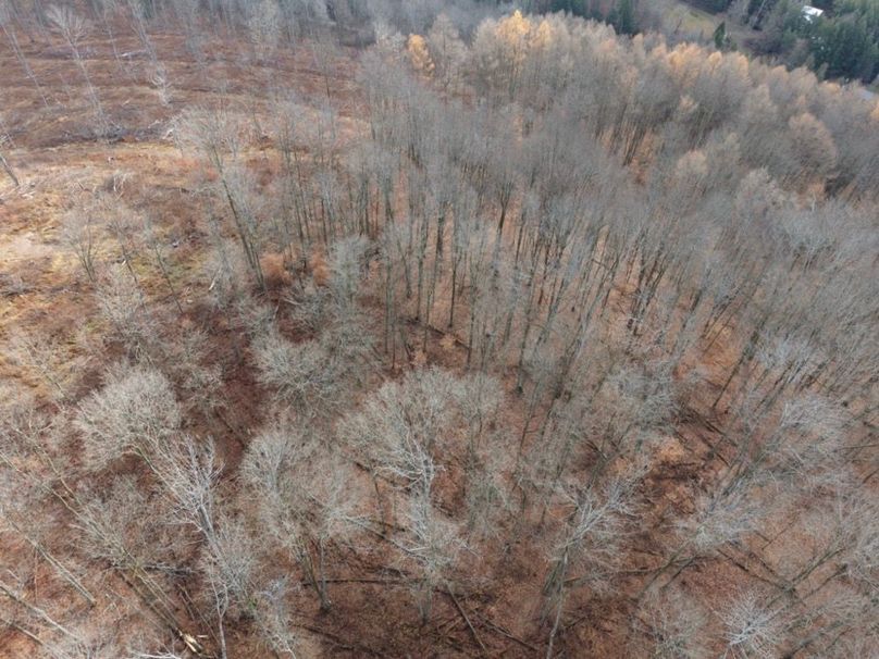 DJI_20251122115254_0068_D