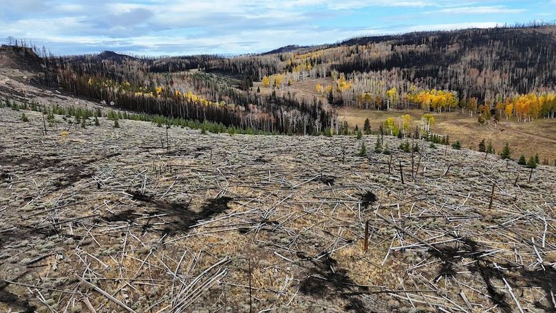 DJI_20250927083748_0056_D